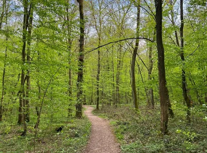 Apartmán Le Cocon Nocturne 10min Arkema Total